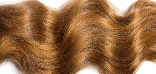 طريقة لتطويل الشعر بدون زيوت