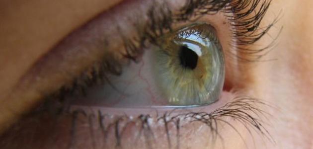 كيف نحافظ على سلامة العين