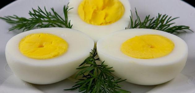 ما هي فوائد بياض البيض