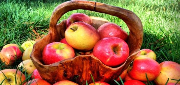 فوائد ورق التفاح
