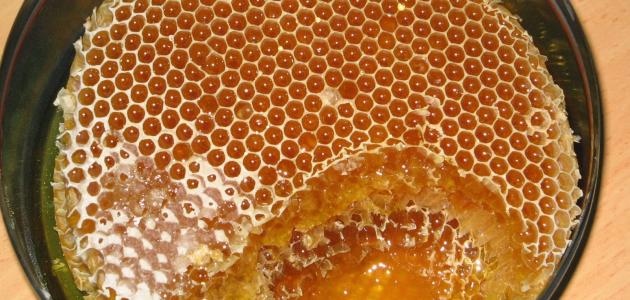 فوائد حبوب غذاء ملكات النحل للحامل