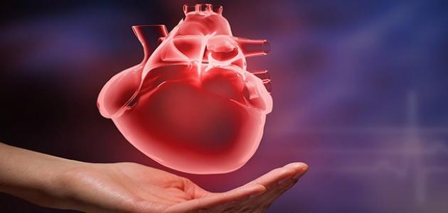 ما هي أعراض تضخم القلب