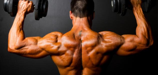 كيف أصبح قوي العضلات