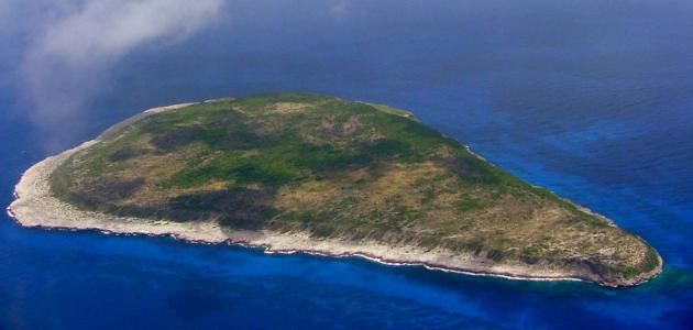 جزيرة نافاسا
