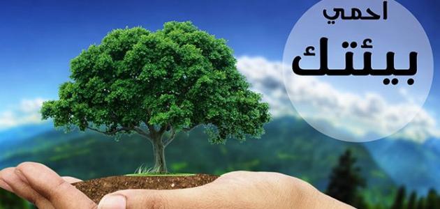 الإسلام وحماية البيئة