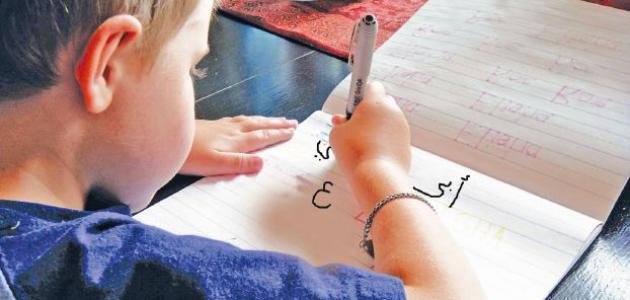 كيف تدرس اللغة العربية