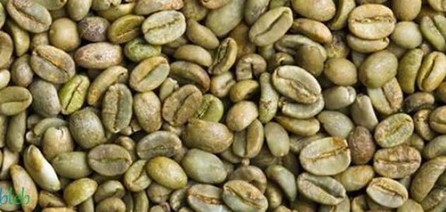 ما فوائد القهوة الخضراء