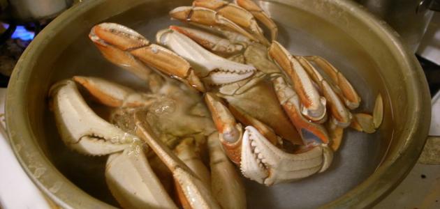 طريقة طبخ سرطان البحر