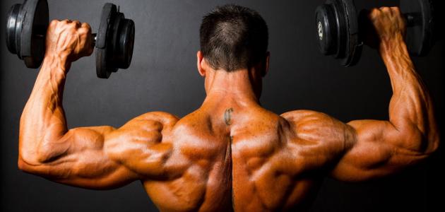 كيف تبني عضلاتك
