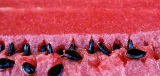فوائد بذور البطيخ الأحمر