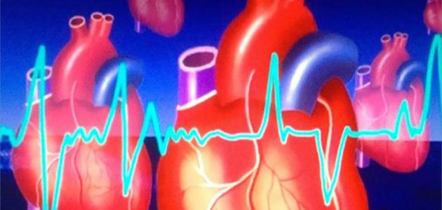 حمية الشرق الأوسط و تأثيرها على أمراض القلب و الشرايين