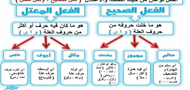 تصريف الفعل الصحيح حروف عربي