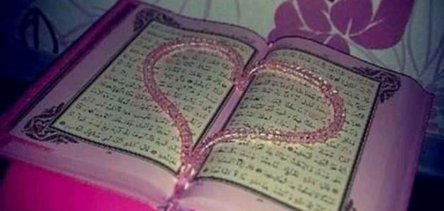 كم عدد صفحات القرآن الكريم