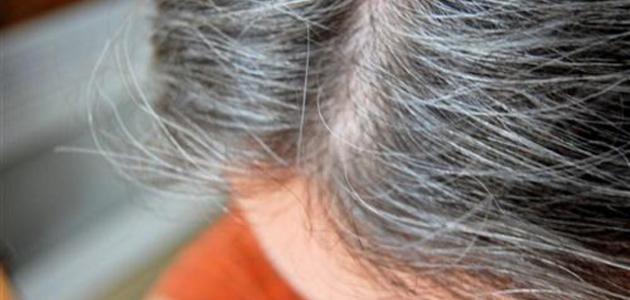 التخلص من الشعر الأبيض بدون صبغة