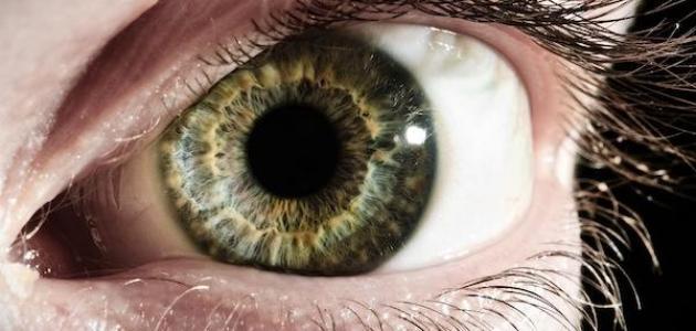 طرق لتقوية النظر وعلاج ضعف البصر