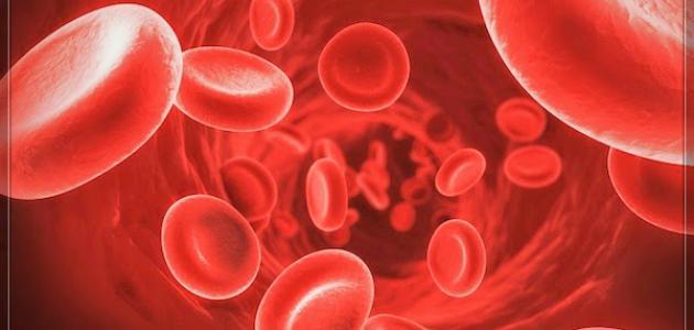 زيادة الكريات الحمراء في الدم