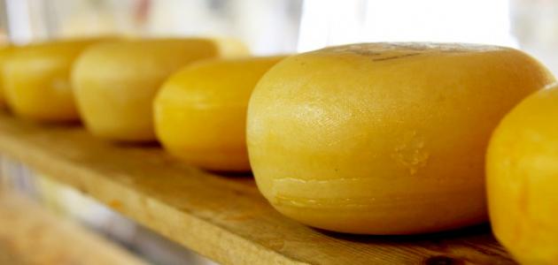 كيفية صناعة الجبن