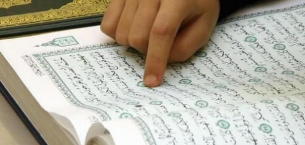 أحاديث عن فضل قراءة القرآن