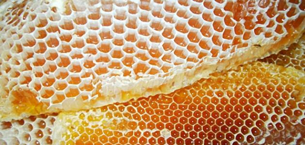 فوائد صمغ النحل للكبد