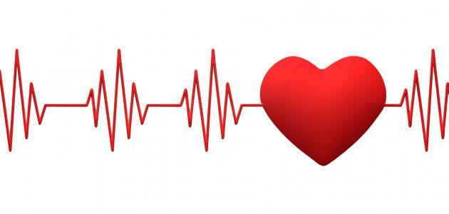 ضربات القلب الطبيعية عند الإنسان