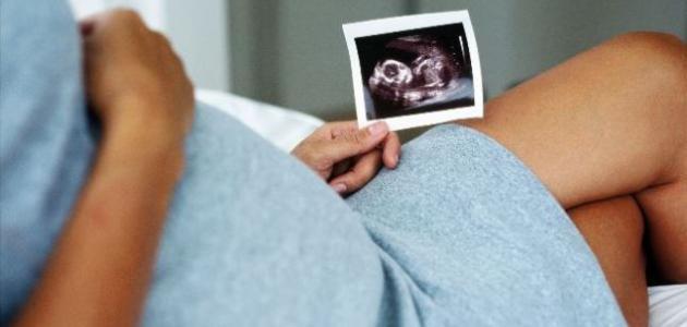 مراحل نمو الجنين في الأسبوع الثالث عشر