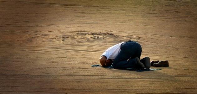 ما هو فضل الصلاة