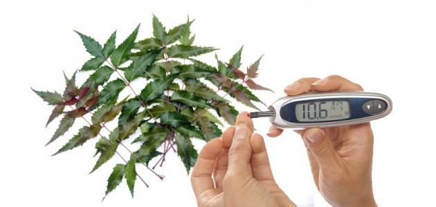 ما هو علاج مرض السكري بالأعشاب