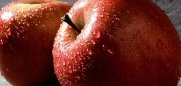 فوائد التفاح للمعدة