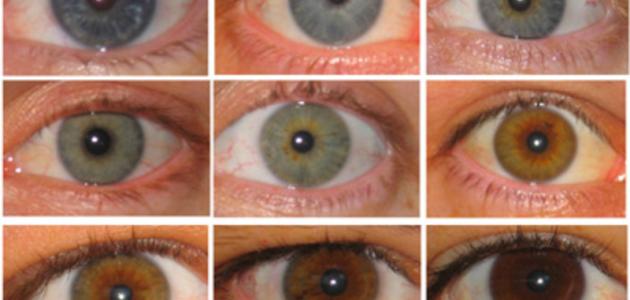 كيف أغير لون العين