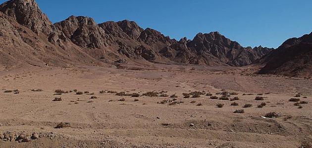 أين تقع صحراء سيناء