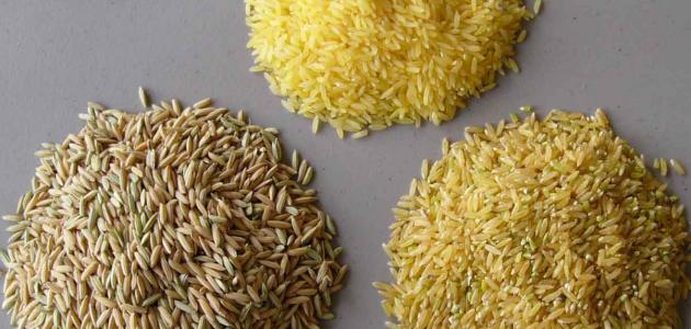 عدد السعرات الحرارية في الأرز