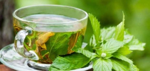 ما فوائد شاي الأخضر بالنعناع