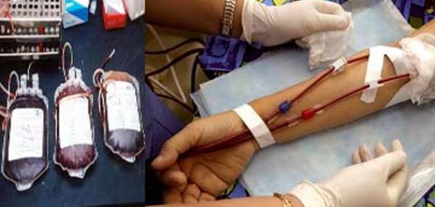 كيف تتم عملية نقل الدم