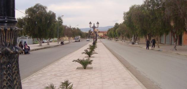 مدينة عين التوتة