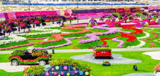 أين موقع حديقة الزهور في دبي