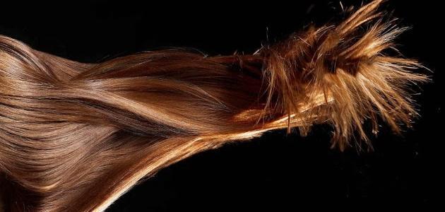ما الفيتامين الذي يساعد على تقوية الشعر