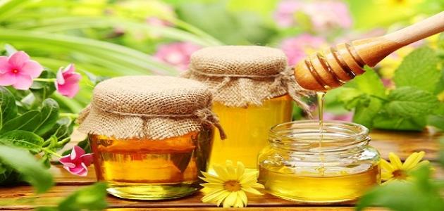 أهمية العسل