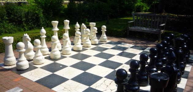 من اخترع الشطرنج