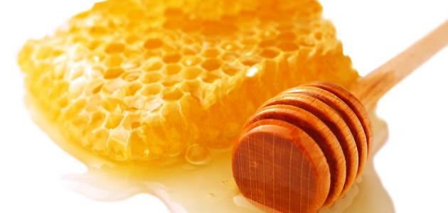 كيفية جني العسل