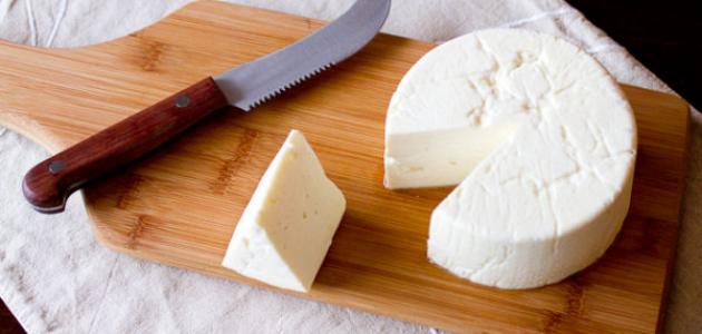 كيفية صناعة الجبن في المنزل