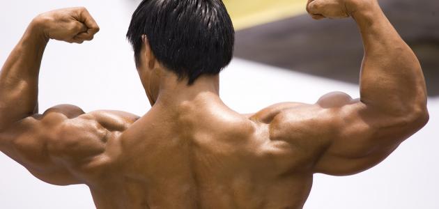 كيفية تقوية العضلات