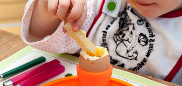 فوائد البيض للأطفال الرضع