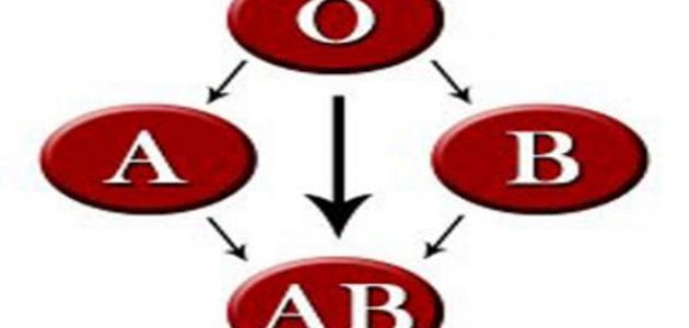 خصائص فصيلة الدم -B