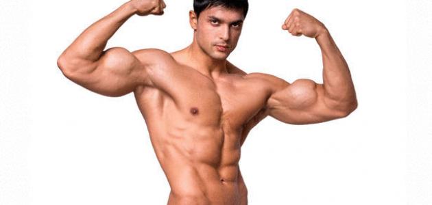 كيفية تكوين العضلات