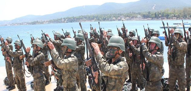 عدد الجيش التركي