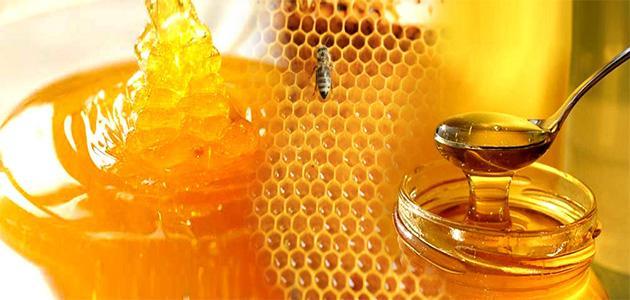 كيفية معرفة العسل الأصلي