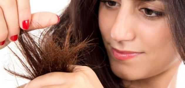 كيف تعالج تقصف الشعر