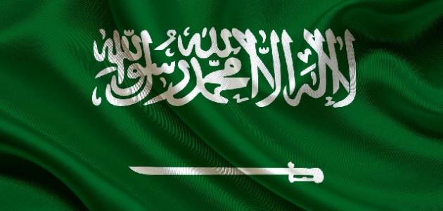 ما نظام الحكم في المملكة العربية السعودية