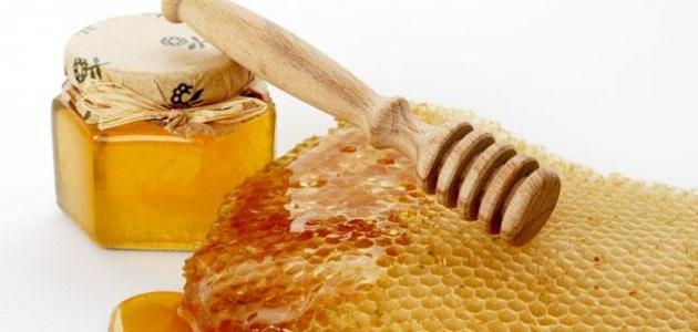 فوائد عسل النحل السدر الجبلي