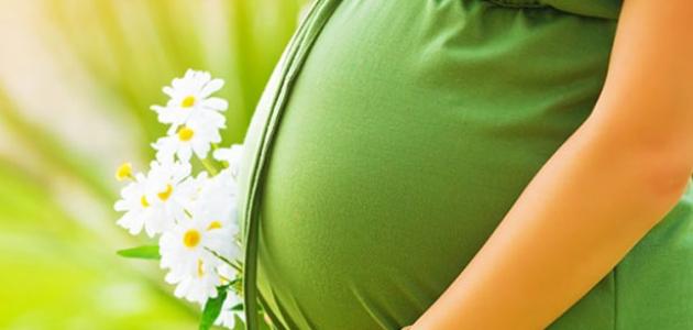 نقص هرمون البروجسترون للحامل